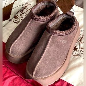 Chocolate brown Uggs tazman